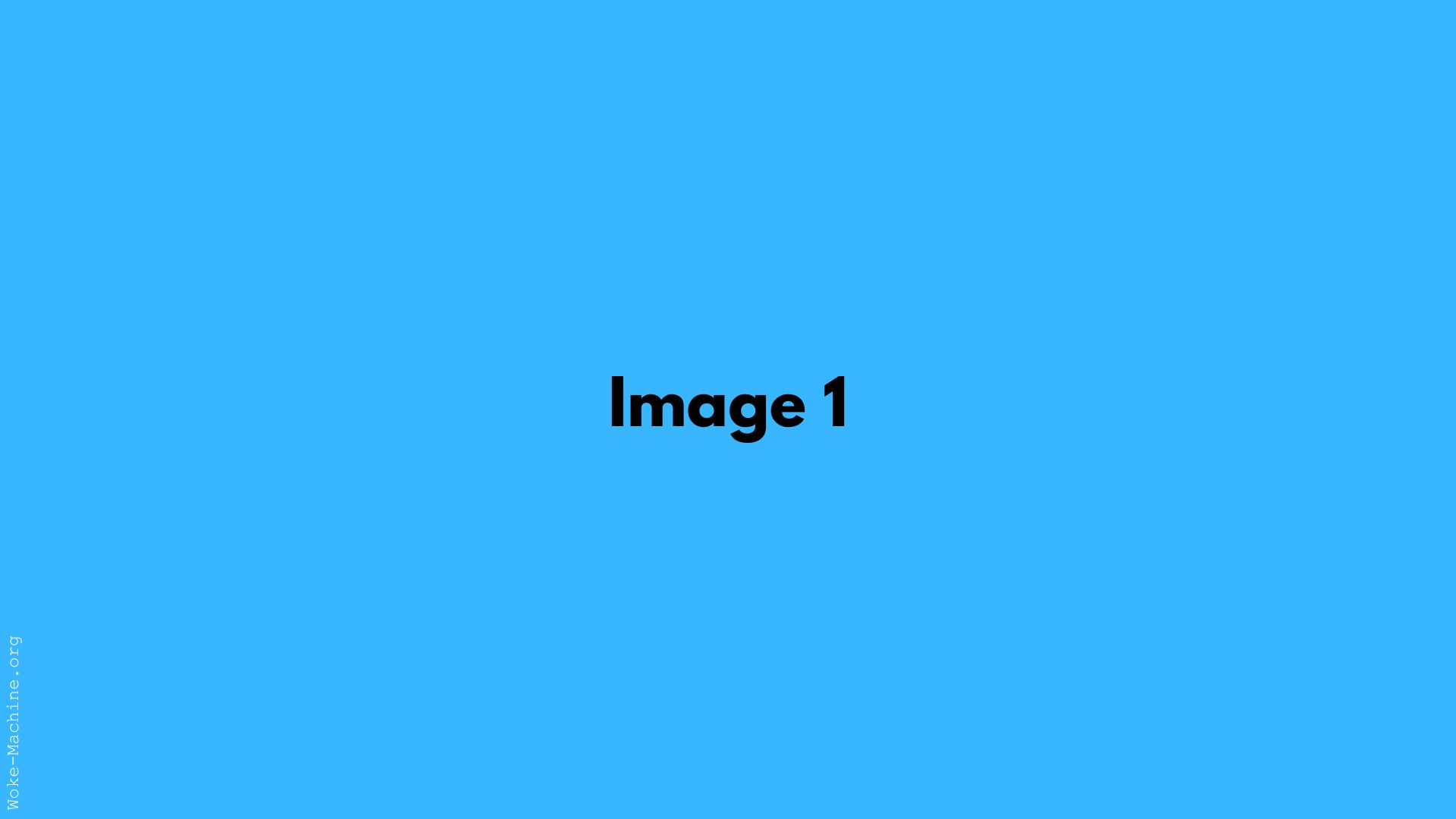 Essais blog page avec Divi